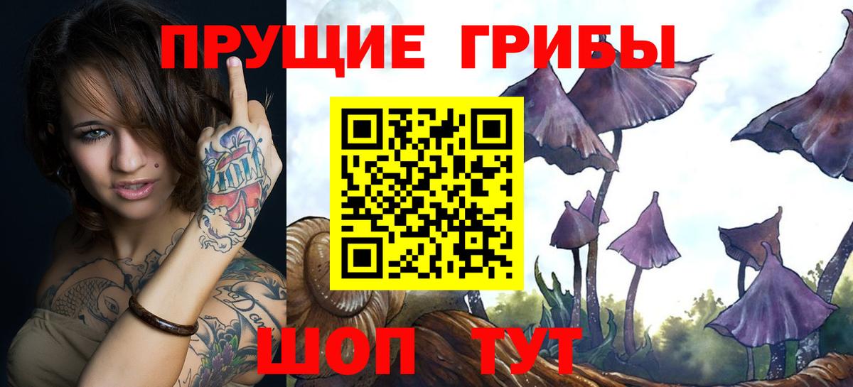 Псилоцибиновые грибы GOLDEN TEACHER Нарьян-Мар